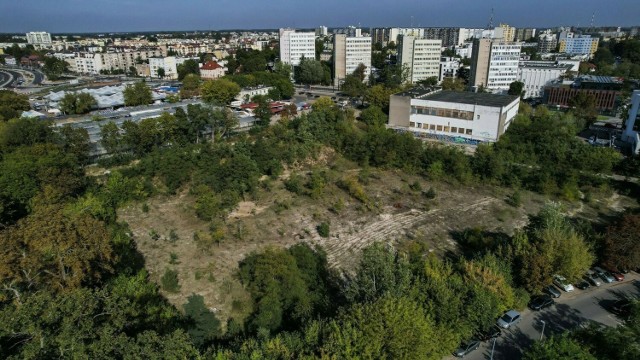 Budynek Uniwersamu otoczony coraz wyższymi drzewami, które wyrosły na terenie niedoszłego nowego centrum Torunia.