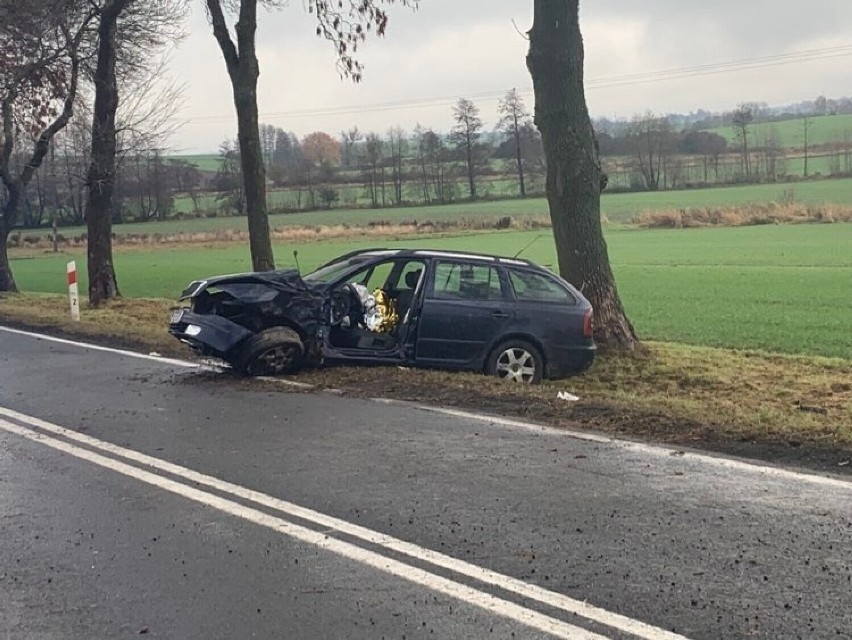 W listopadzie na DK 12 między Dankowicami a Nielubią zginęła...