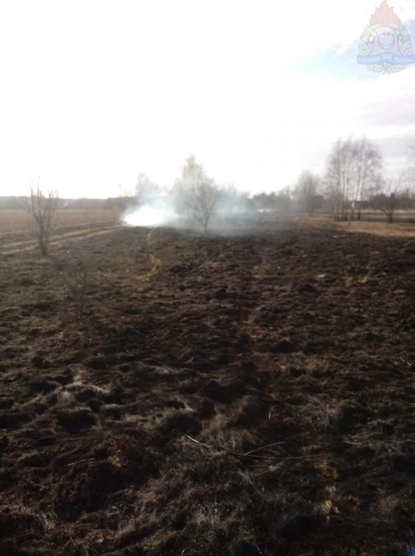 Pożar trawy w miejscowości Podtrzcianna [ZDJĘCIA]