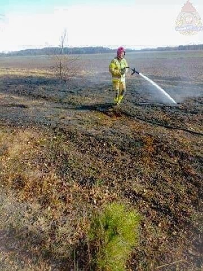 Pożar trawy w miejscowości Podtrzcianna [ZDJĘCIA]