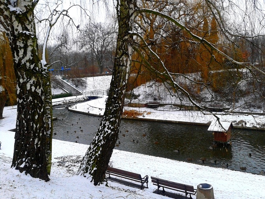 2015 Toruń.  "Dolina Marzeń" w zimowej scenerii