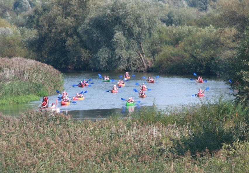 Spływ kajakowy 2020 Ladorudz - Sławsk. Prawdziwa wodna przygoda na „Szlaku Wielkiej Pętli Wielkopolski” dla 120 kajakarzy (GALERIA) 