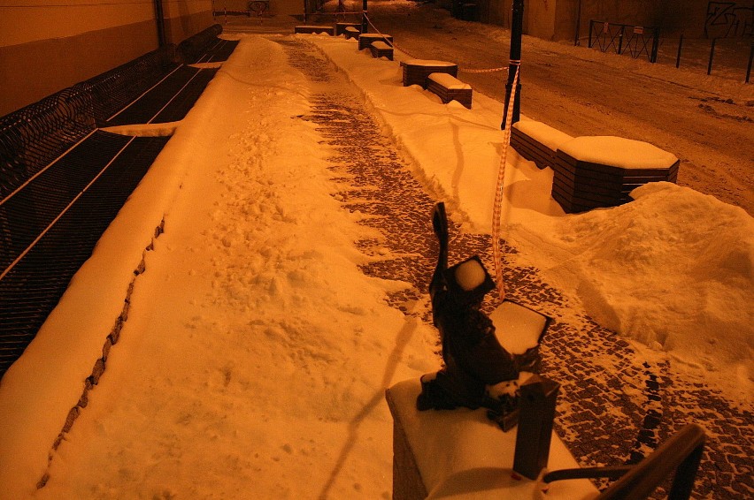 Bachusik UZetikus oswojony jest już ze śniegiem i porządkiem wokół miejsca gdzie zasiada
