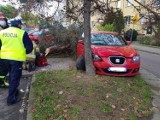 Wypadek na ul. Armii Krajowej  w Tczewie. Drzewo przygniotło pieszego [18.11.2020] 