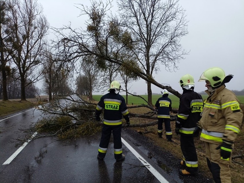 Orkan Eunice szalał w regionie słupskim. Strażacy podsumowali: prawie 150 interwencji  (zdjęcia)