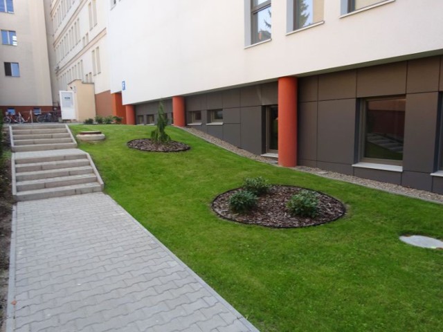 Zagospodarowane tereny zielone przy wolsztyńskim szpitalu