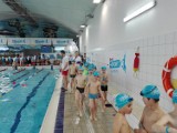 Pruszcz Gdański: Rozdano 248 pływackich medali [ZDJĘCIA]