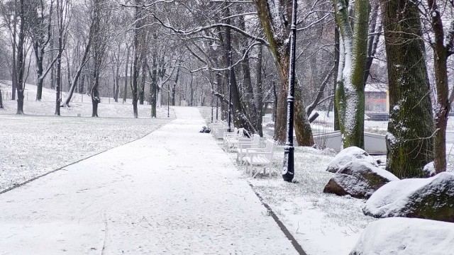 Zima i śnieg w Żarach