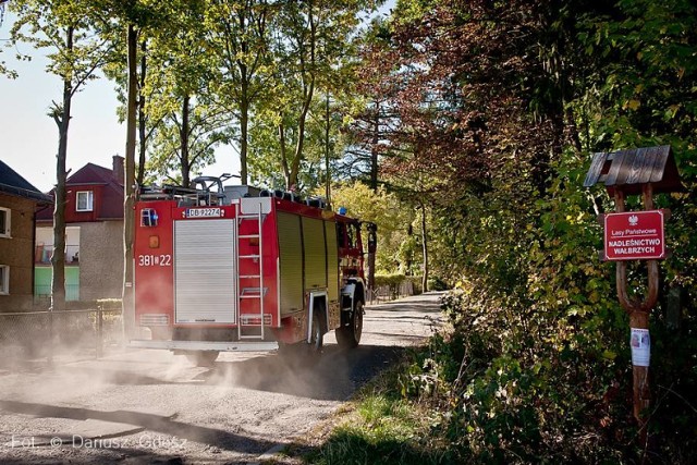 Wałbrzyscy strażacy ugasili pożar lasu, który wybuchł na szczycie góry Chełmiec