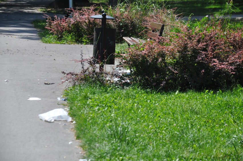 Park miejski po gorączce sobotniej nocy. Śmieci są nawet w stawie