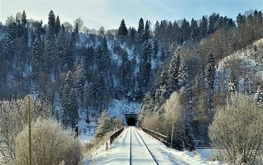 Muszyna/Poprad. Hit turystyczny Małopolski czyli Beliansky Express wyjedzie wcześniej na tory. Już w święta. Zobacz zdjęcia