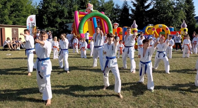 To był niezwykle udany rok dla Sosnowieckiego Klubu Karate, W mijającym sezonie reprezentanci Klubu zdobyli prawie pięćdziesiąt medali!