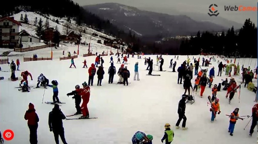 Beskidy: gdzie na narty? Szusować można w Wiśle, Szczyrku i Istebnej