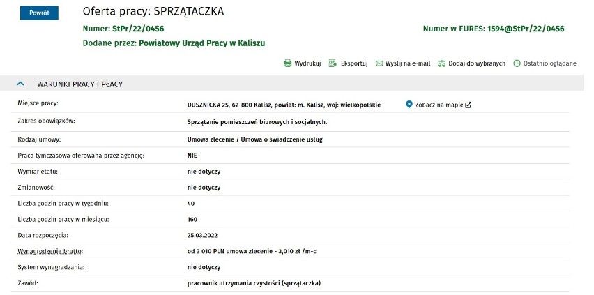 Oferty pracy w Kaliszu i powiecie kaliskim. Ile można zarobić? 