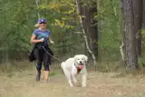 Wronki. Dogtrekking z Animaniakami - miłośnicy zwierząt pobiegli ze swoimi psiakami!