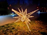 Gminy powiatu nowodworskiego przystroiły się świątecznie. Choinki, ramki i iluminacje zdobią miasta i wsie
