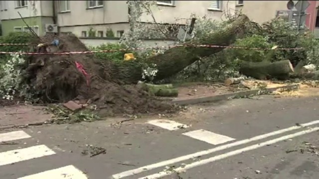 Zerwane linie energetyczne, powalone drzewa i zniszczone domy. ...