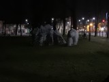 Władze Suwałk przyłączyły się do akcji # TylkoCiemność. Przez godzinę latarnie były wyłączone w Parku Konstytucji 3 Maja
