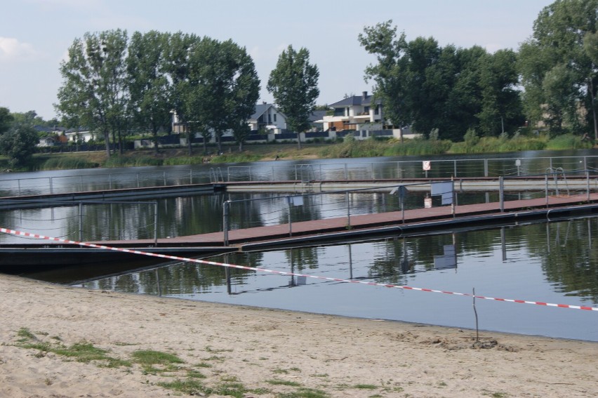 Śnięte ryby w Jeziorze Średzkim! Czy mamy do czynienia z drugą Odrą? "To jest bardzo dziwne" [zdjęcia]