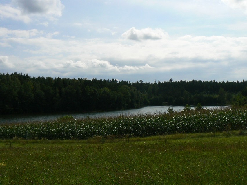 \"Jezioro w Białachowie\" - 25.08.2010r.