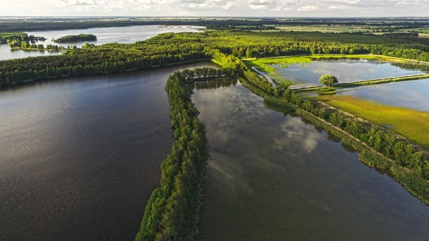 Wielki zespół stawów rybnych (m.in. Krośnice, Potasznia,...