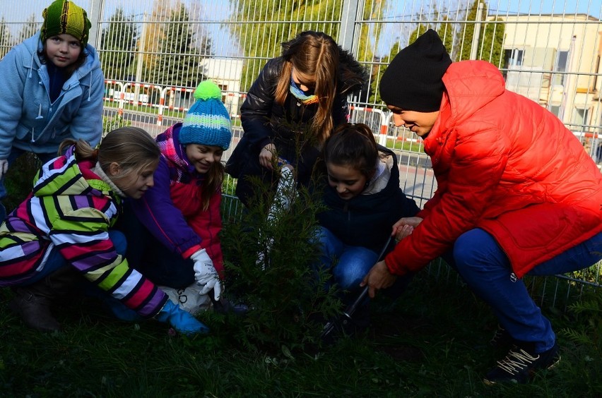 Inea Stadion - Dzieci posadziły 100 drzew przy Bułgarskiej