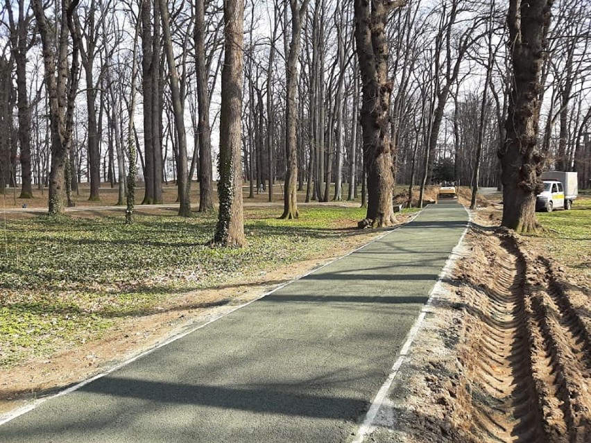 Trwa rewitalizacja Parku Młodzieżowego w Świdnicy. Są już nowe ścieżki, będą nasadzenia zieleni