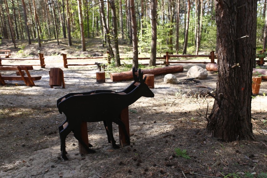 Plac zabaw, ścieżka bajkowa i siłownia plenerowa. Park Leśny na Olesinie prawie gotowy