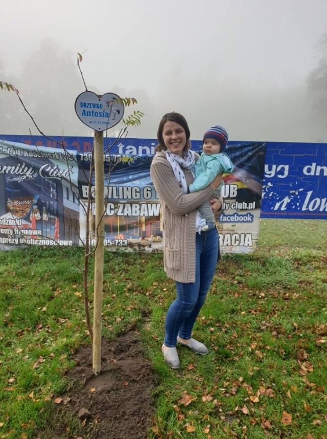 We wtorek w gminie Śmigiel rozpczęła się akcja "Drzewko Życia"