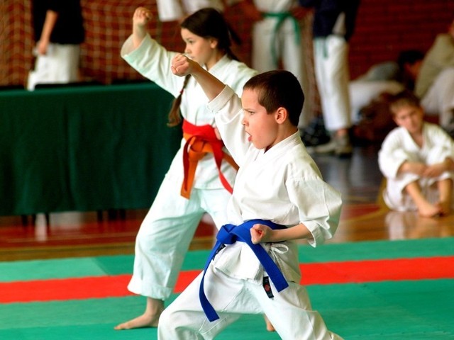 Zajęcia karate