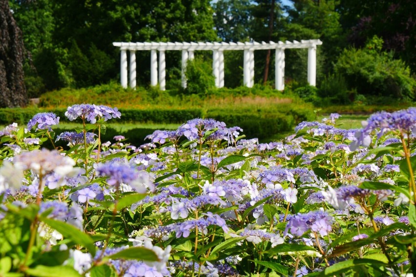 Zabytkowy Park Miejski w Legnicy