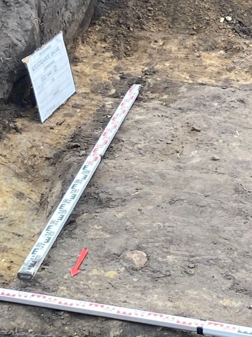 Pod Łęczycą ekshumowano żołnierzy z I wojny światowej. Znaleziono szczątki 18 osób ZDJĘCIA