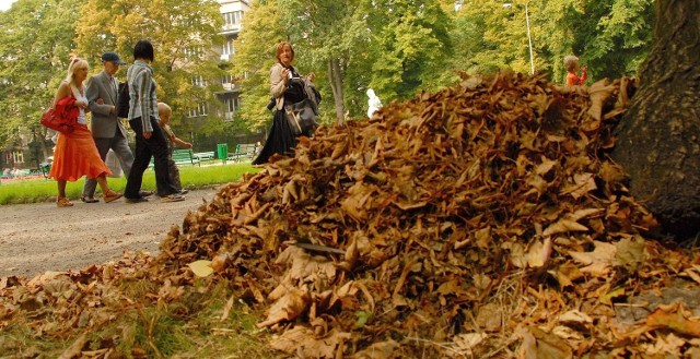 Prognoza pogody - Poznań i Wielkopolska na weekend