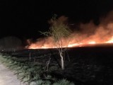 Chrzanów. 20 pożarów traw i podpalenie altan na ogródkach działkowych [ZDJĘCIA]