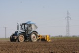 Osiem tysięcy hektarów państwowych gruntów rolnych wystawiono w 2012 roku na sprzedaż