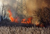 Trawy wciąż płoną. W weekend strażacy gasili 47 pożarów. Co grozi za wypalanie traw?