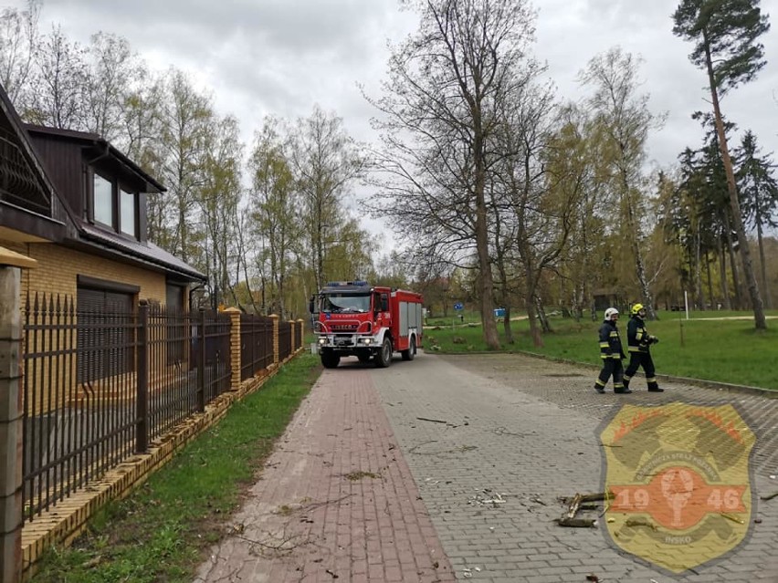 Na plażę w Ińsku spadło drzewo. Strażacy z Ochotniczej Straży Pożarnej w Ińsku w akcji