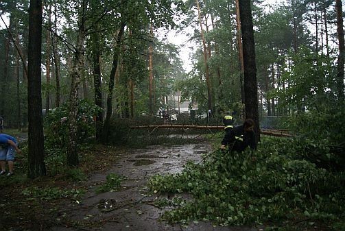 Strażacy z Kalet usuwają powalone drzewa