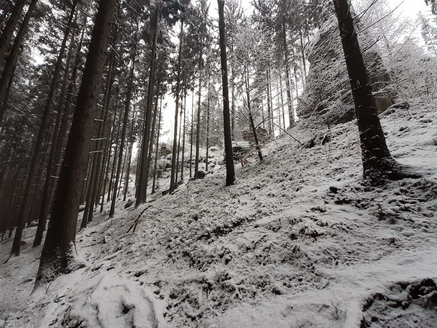 Zimowa wyprawa do rezerwatu przyrody Głazy Krasnoludków - propozycja nie tylko na weekend