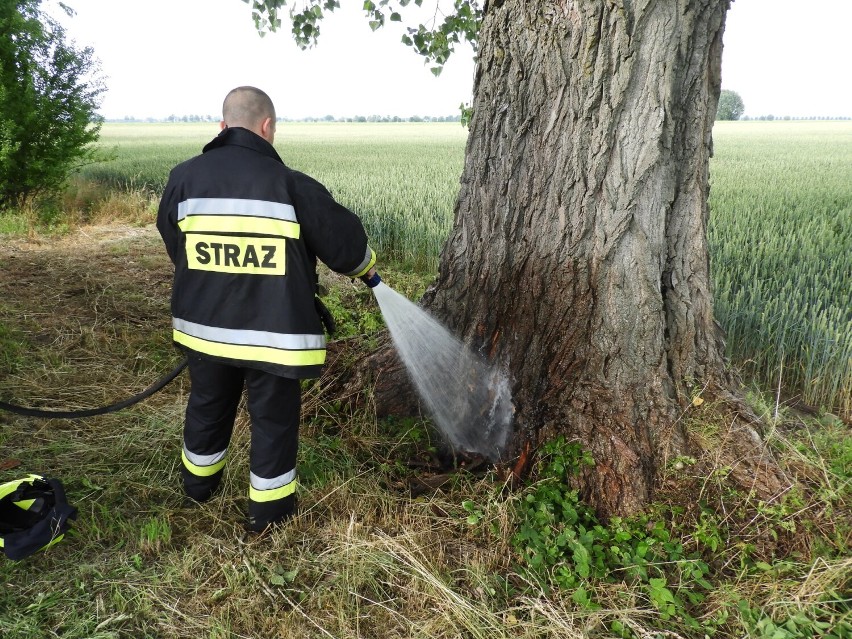 Akcja gaszenia drzewa przy drodze między Kławkami a Szlagnowem