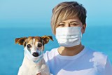 Koronawirus u psa – wykryto zgodność genów SARS-CoV-2 u zwierzęcia i właścicieli. Jak psy chorują na COVID-19 i czy zagrażają ludziom?