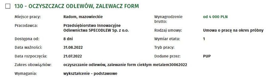 Jest świetna praca w Radomiu i powiecie! Na jakich stanowiskach są wakaty? Oto najnowsze oferty pracy z najwyższymi zarobkami