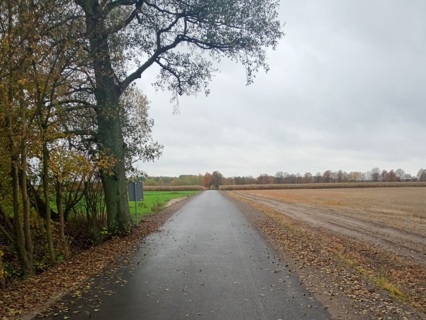 Stróżewice: droga dojazdowa do gruntów rolnych wyremontowana