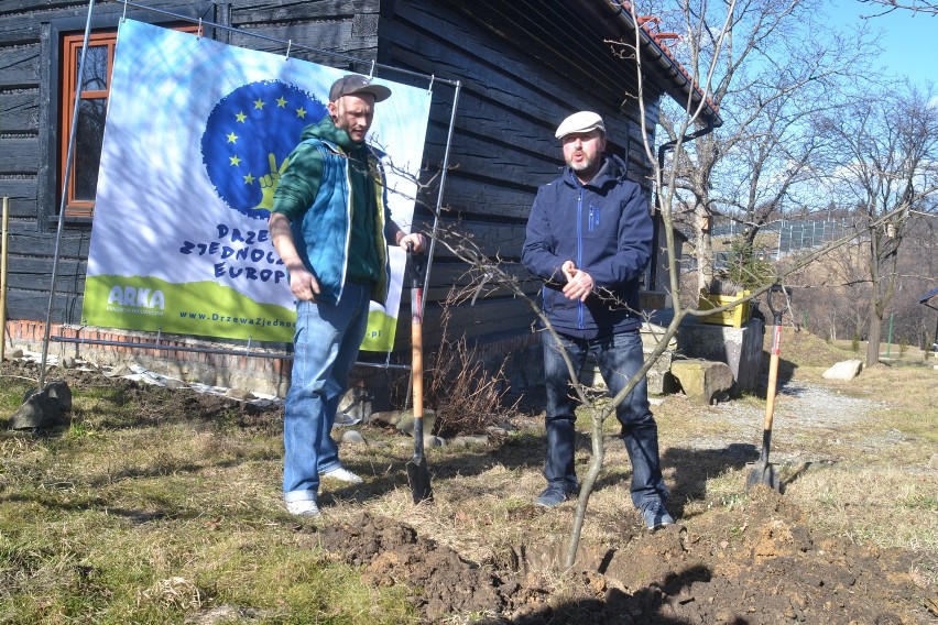 Bielsko-Biała: Drzewa Zjednoczonej Europy. Ruszyła nowa akcja Fundacji Arka [ZDJĘCIA]