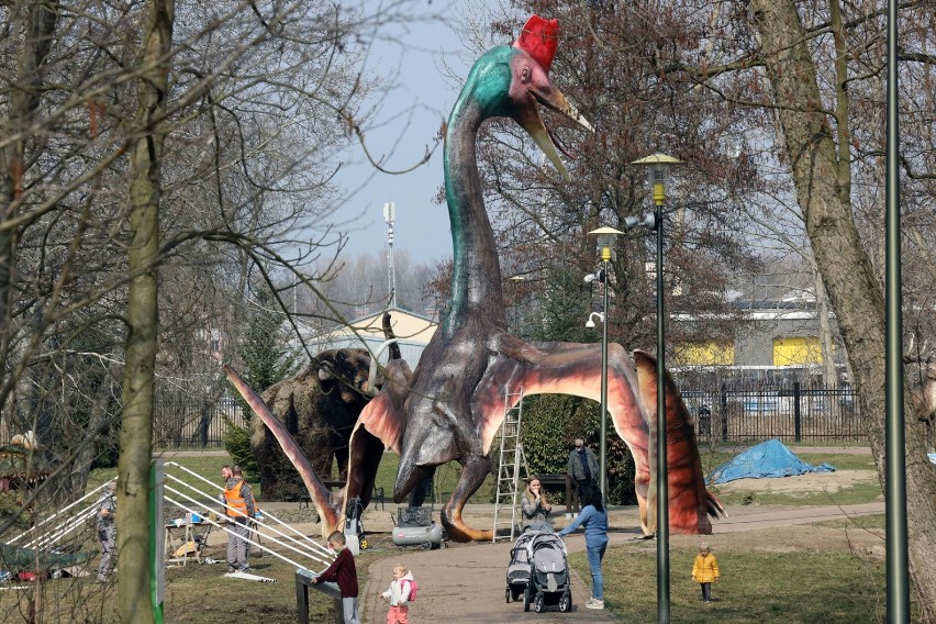Pterozaur to nowa atrakcja Parku Wrocławskiego na Szlaku Zwierząt Wymarłych