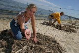 Święto Orłowa: Rodzinny piknik i poławianie bursztynu na plaży