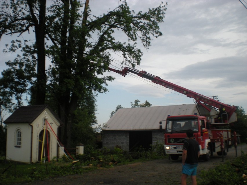 W kilkanaście minut trąba powietrzna połamała drzewa i...