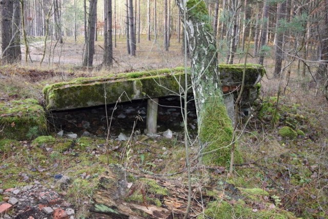 Tajemnicze ruiny hitlerowskiej fabryki, ukryte w lasach wjazdy do podziemi - takich miejsc jest wokół Pniewa moc.
