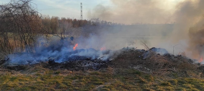 Zobacz kolejne zdjęcia. Przesuwaj zdjęcia w prawo - naciśnij...