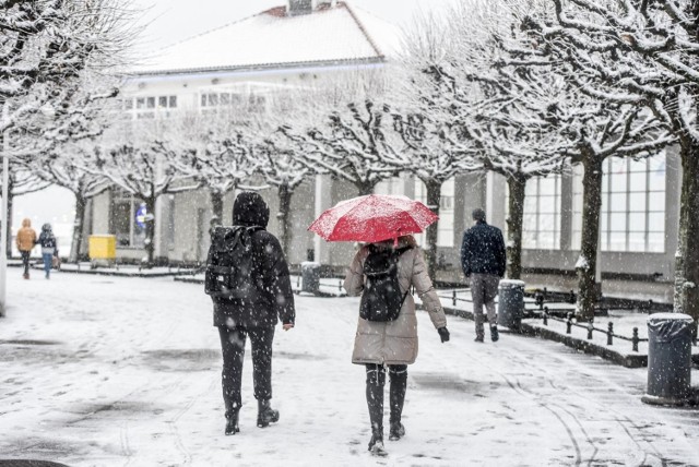 Długoterminowa prognoza pogody na zimę 2021/2022. Zobacz, co IMGW prognozuje jeśli chodzi o spodziewaną temperaturę oraz opady w poszczególnych miastach/regionach Polski.

Na dalszych stronach znajdziesz mapy na każdy miesiąc oraz krótkie wyjaśnienie dotyczące długoterminowej prognozy. ▶▶